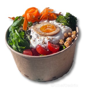 Buddha bol végétarien sauce Yaourt - tahini - ail - citron